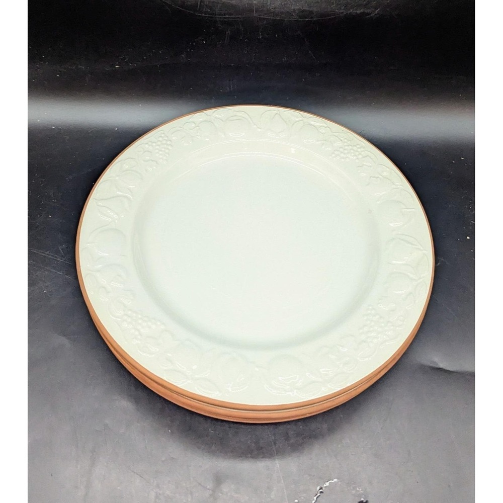 Set/4 Pier‎ 1 Italian Pottery White Embossed Fruit Terra Cotta Edge Dinner Plate
